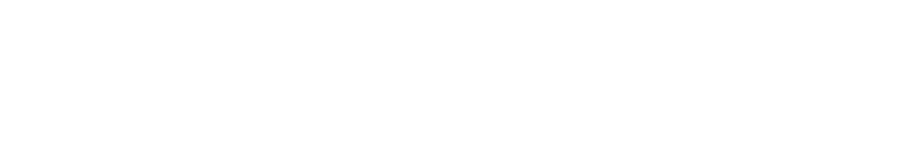 slayte-logo-white